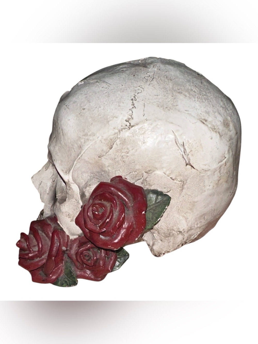 Decorative Skull with Red Roses Accent - Picture 4 of 4